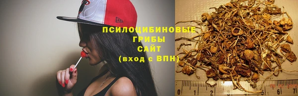 apvp Козельск