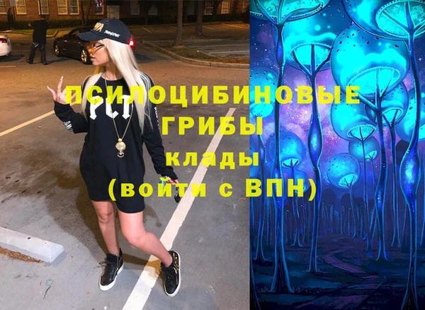 apvp Козельск