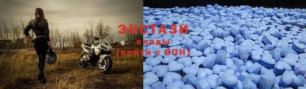 apvp Козельск
